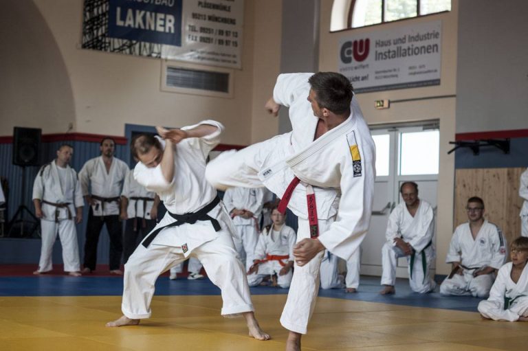 Technikvorführung Jiu-Jitsu